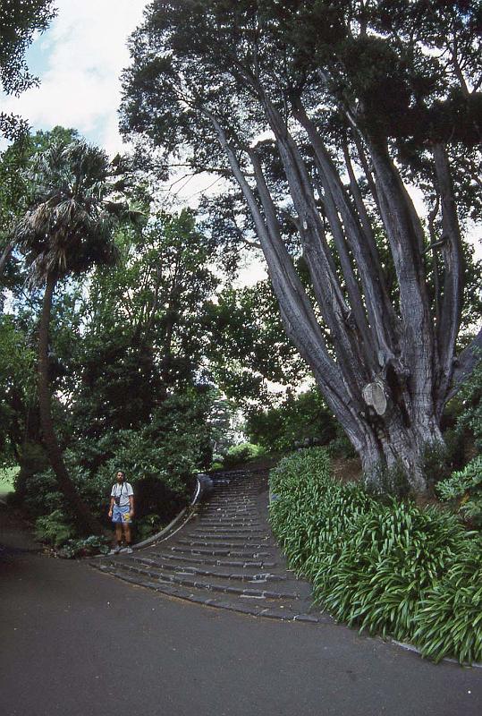 WT 0400 073-05 Australia.jpg